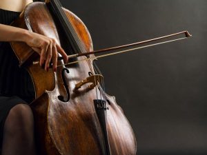 Violoncello